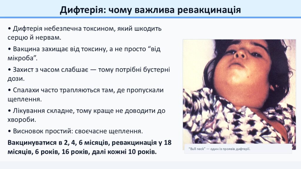 Слайд12