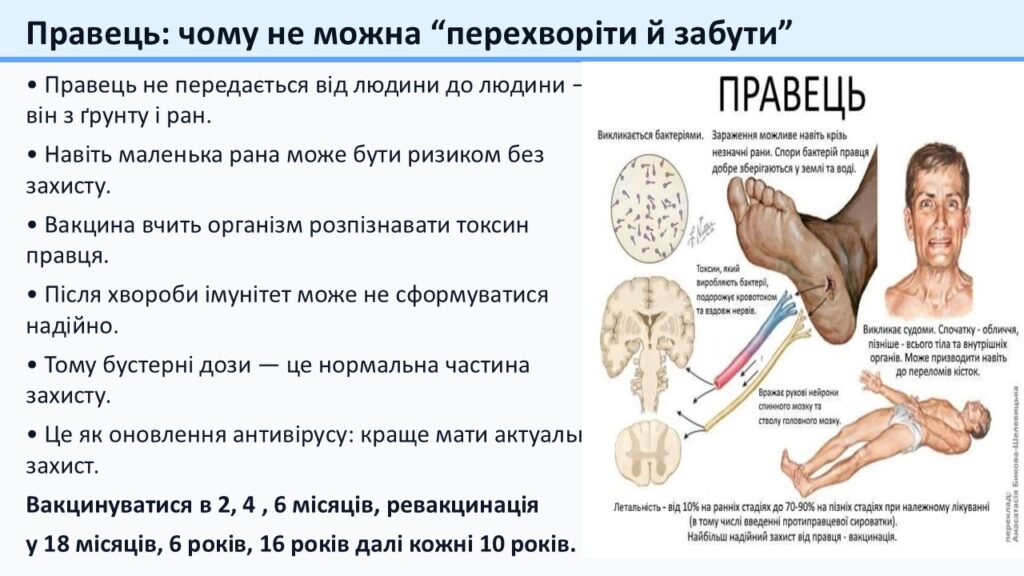 Слайд13