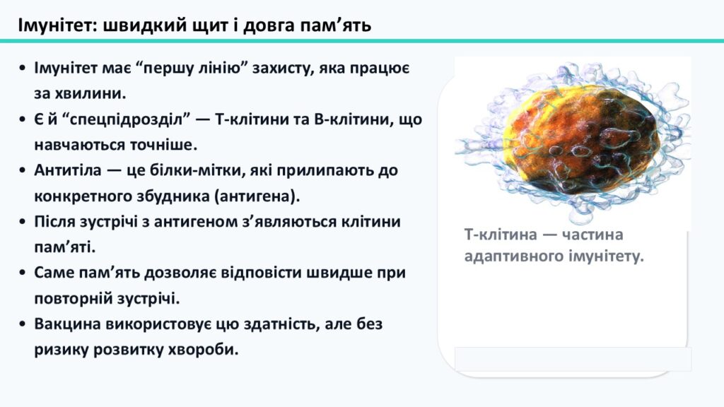 Слайд3